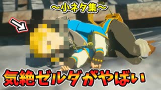 ヘドロライク瞬殺･ゼルダを気絶させると･四足歩行の不思議など小ネタ集【ティアキン TotK】裏技 バグ 検証 ゆっくり実況 glitch