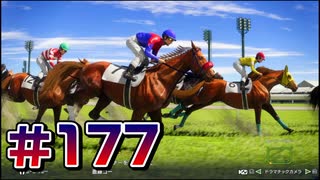 【ウイニングポスト10 2024 】こっちでめざせ！G1全制覇！ウイニングポスト10 2024 #177【実況プレイ】