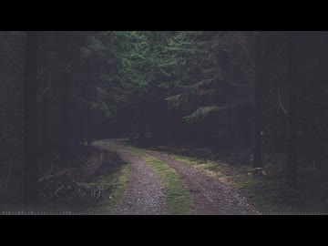 歩いてくる Be Frightened 【BGM】
