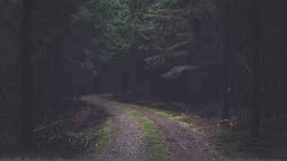 歩いてくる Be Frightened 【BGM】