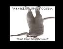 Longcat song (english and Japanese sub) （英語と日本語の字幕付き）