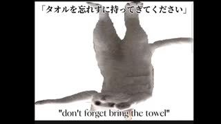 Longcat song (english and Japanese sub) （英語と日本語の字幕付き）