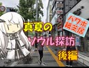 【パワポ紙芝居】真夏のソウル探訪・後編