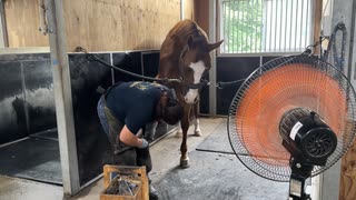ミズカゼくん！装蹄