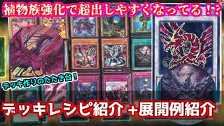 【遊戯王】カジュアルデッキ構築論シリーズ！ローズツィオルキンデッキ紹介！