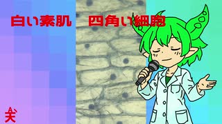【ずんだもん】Epidermis　鱗片細胞見てみよう！【VOICEVOX] オリジナル曲
