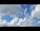 鳥の詩歌った