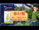 大学講師のドイツ語＆生物学講座　『鼻行類』講読(4)