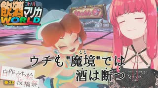レート9000目指す琴葉姉妹の飲酒マリカワールド #09【マリオカートワールド】