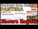 PANTERAで基礎固め：タイム感/ミュート/アタック総点検【TAB】