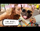 【AI MV】この夏、オレを選んで！！｜フレンチブルドッグの恋物語□□