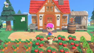 【あつまれどうぶつの森】タチツテ島新生活＃終　これも皆様のおかげです。