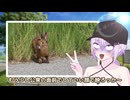９割したいは散歩したい【VOICEROID劇場】