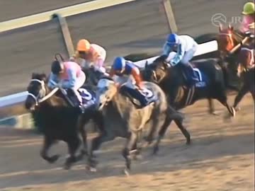 メジロライアン・メジロドーベルの活躍と大川慶次郎の慧眼