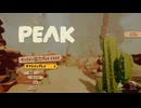 ソロだって出来るさ登山【PEAK】