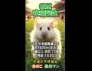 【競馬予想】ＧⅢ #中京記念□AIねむリン□今回の予想担当はきのこ□＆栽培マン推奨馬2頭で好配当的中□目指します□《#競馬楽部□（LOVE）》Vol.183 通算Vol.385