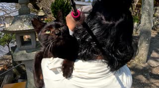奇妙な参拝！肩までよじ登って来てくつろぐ猫と