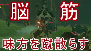 【ブレワイ】依頼を受けて、ライネルのダッシュ攻撃を遠くまで誘導してマモノに当ててみた【ドリカラ】【ボイスピ実況,ゼルダの伝説,ブレスオブザワイルド,BotW,バグ,検証 】