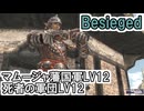 【FF11】怒涛のビシージ２連戦！「マムージャ藩国軍LV12」「死者の軍団LV12」＿＿カッパのヴァナ・ディール生活