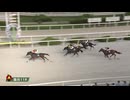 2025年8月14日園田競馬11R 【兵庫×高知交流】 夜さ恋 サマースプリント(OP) ルコルセール