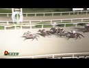 第57回摂津盃 ナムラタタ