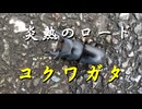 昆虫　炎熱のロード　コクワガタ