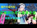 カメラ担いで巡る♪♪芸州路「教徳寺観音堂と湯戸の望月桜」  広島市佐伯区五日市町石内湯戸