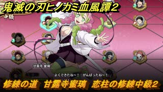 鬼滅の刃ヒノカミ血風譚２　修練の道　甘露寺蜜璃　恋柱の修練中級２　＃３０１