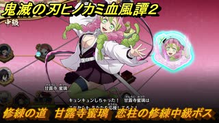 鬼滅の刃ヒノカミ血風譚２　修練の道　甘露寺蜜璃　恋柱の修練中級ボス　＃３０６