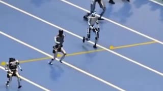 ホモと見る二足歩行ロボットレース