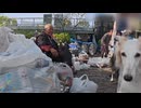 空き缶集めのベテランによる空き缶潰し作業風景 Veteran can collectors crushing cans