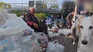 空き缶集めのベテランによる空き缶潰し作業風景 Veteran can collectors crushing cans