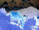 como fazer um carinho num cavalo selvagem
