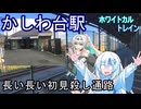 【長い長い初見殺し通路】かしわ台駅東口【ホワイトカルトレイン】