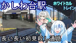 【長い長い初見殺し通路】かしわ台駅東口【ホワイトカルトレイン】