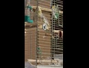 寝る前の僕の仕事