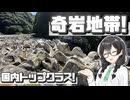 【本州最南端】奇岩だらけの異界へ！潮岬と南紀道の駅を巡る絶景ドライブ【花隈千冬車載】