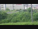 9/5 朝の四季彩