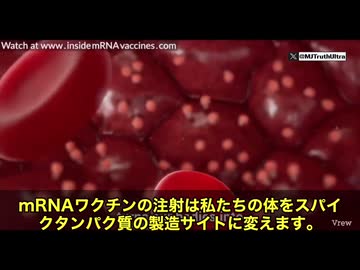 皆さん、信じられますか⁉️ いま世界で何が起きていたのか…それは5️⃣0️⃣億人以上の人々の体を、まるでスパイクタンパク質の工場に変えてしまうという前代未聞の人体実験だったんです