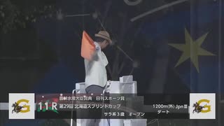 【ウマ娘風】第29回JpnⅢ北海道スプリントカップ(門別・2025)