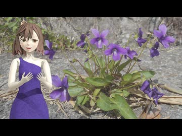 【さとうささら】春へのあこがれ【モーツァルト】