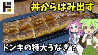 【ずんだもん解説】特大？1尾1000円？ドンキのうなぎを七輪で炙ってみた【四国めたん解説】