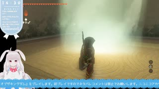 【生放送アーカイブ】祠と空島で大迷走祭りしたティアキン生放送83回目【4/7】