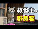 たすかったぁ〜【野良猫】