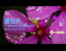 【ChainBeeT】夏花火-Talinum calycinum- / MA+NEV^2+R