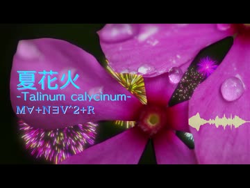【ChainBeeT】夏花火-Talinum calycinum- / MA+NEV^2+R