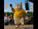 おもしろ猫ダンス動画