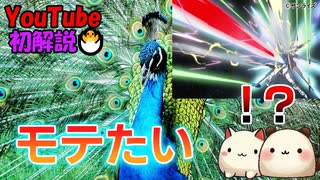「クジャク」さん、レーザーを発射していた！