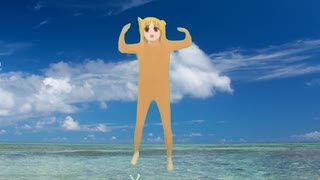 パリピィーテックス (GBつき)