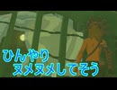 【ティアキン】依頼を受けて、マヨイのお腹を観察してみた【ドリカラ】【ボイスピ実況,ゼルダの伝説,ティアーズオブザキングダム,TotK,バグ,検証 】